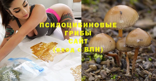 spice Магадан
