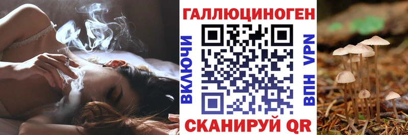 Псилоцибиновые грибы GOLDEN TEACHER Горячеводский