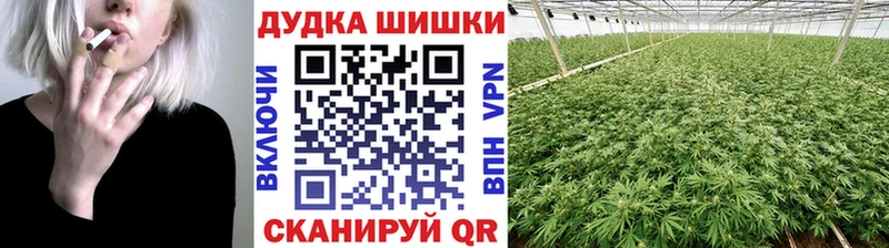 Бошки марихуана сатива  Горячеводский 